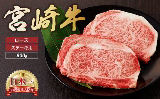 宮崎牛 ロース ステーキ 2枚 500g 牛肉 肉 国産 小分け ブランド牛 ギフト 贈り物 九州 宮崎 霜降り宮崎県綾町25000肉牛肉