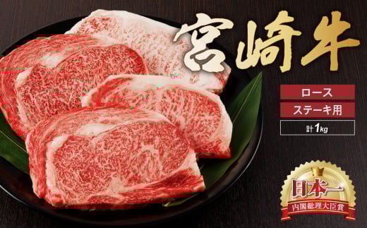 {苍 [X Xe[L 4 1kg   Y  uh Mtg 蕨 B { ~{茧48000