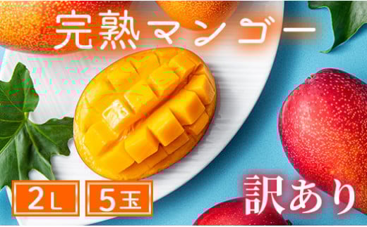 【訳あり】完熟マンゴー 2L×5玉(パック)【濃厚 高級 宮崎 果物 フルーツ 贈答 ギフト 甘い 先行受付 】宮崎県綾町35000果物・フルーツマンゴー・パイナップル