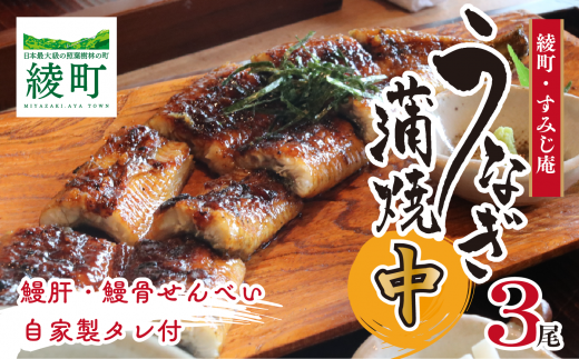 うなぎ蒲焼(中)3尾宮崎県綾町25000魚介・海産物うなぎ