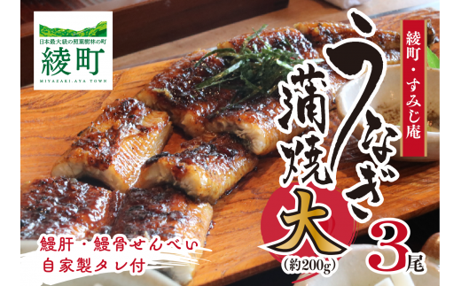 うなぎ蒲焼(大)3尾宮崎県綾町32000魚介・海産物うなぎ