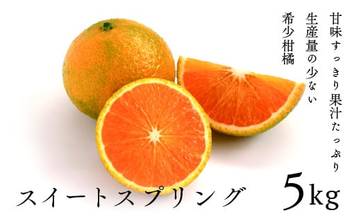 󏭊kuXC[gXvOv5kg [ϔ]{茧11000ʕEt[c݂Ek