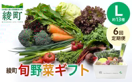 【6回定期便】綾町旬野菜ギフト〈 Lサイズ/約13種 〉4人以上分 産地直送 野菜セット 詰め合わせ 新鮮 有機栽培 旬 採れたて 野菜定期便 野菜 人参 トマト じゃがいも 玉ねぎ きゅうり さつま