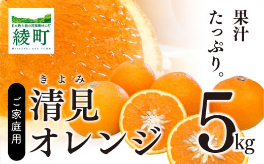 清見 5kg宮崎県綾町12000果物・フルーツみかん・柑橘類