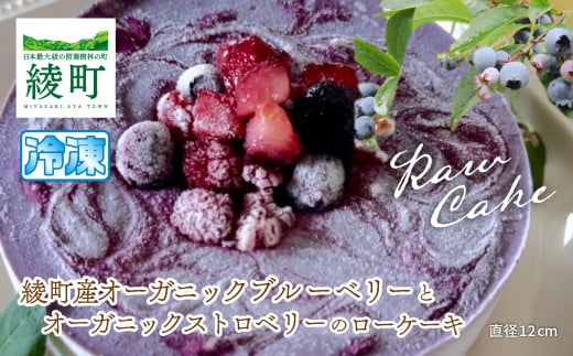 YI[KjbNu[x[ƃXgx[̃[P[L{茧17000َqEXC[c̑ aَq