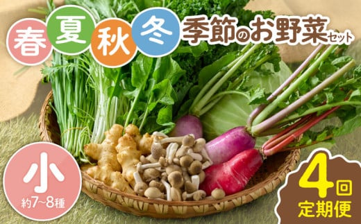 ySSցztďH~ G߂̂؃ZbgiTCYj 7`8 {茧Y ؒ lߍ킹 VN  Yn ؃Zbg _ƒ L@͔|  yI[KjbN̂܂ {茧
