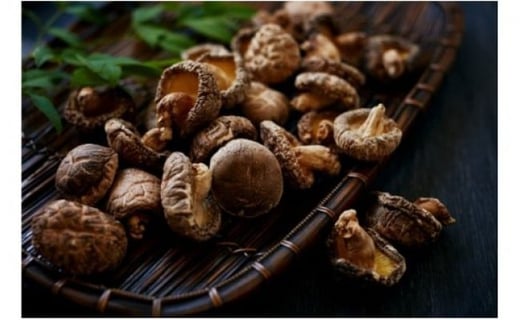 [5738-0031] ǂ90g{茧ˑ17000E