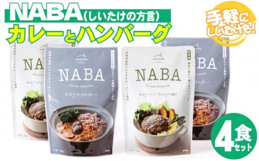 [5738-0079]gg J[ no[O NABA v4HZbg o^[`LJ[ 2Hno[OA`r\[X| 2H Zbg{茧ˑ13000ZbgE؁EHHi