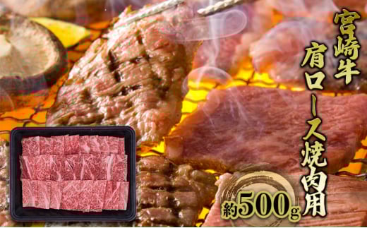 [5738-0090]ē [X {苍 500g јa    BBQ o[xL[ Ă{茧ˑ16000