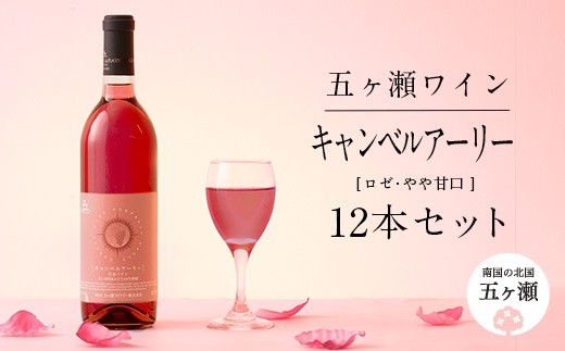 五ヶ瀬ワイン キャンベルアーリー(ロゼ・やや甘口)12本セット | 飲料 酒 さけ お酒 おさけ アルコール ワイン ロゼワイン 宮崎県 五ヶ瀬町宮崎県五ヶ瀬町100000酒・アルコールワイン