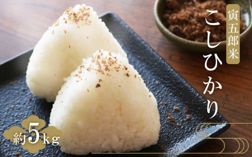 <先行予約>五ヶ瀬町産こしひかり 寅五郎米 5kg | 米 こめ お米 おこめ 精米 白米 こしひかり ブランド米 宮崎県 五ヶ瀬町宮崎県五ヶ瀬町19000米・パン白米
