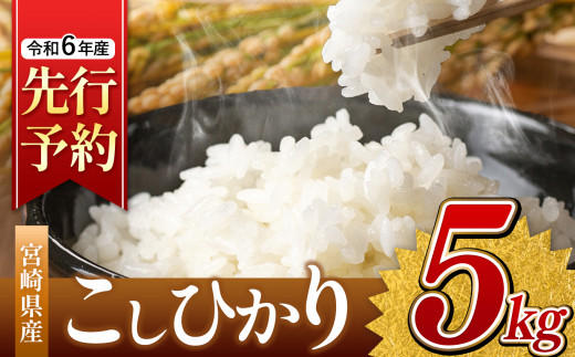 令和6年産 新米 こしひかり 5kg (白米) 宮崎県産 | 米 こめ お米 おこめ 精米 白米 コシヒカリ 宮崎県 五ヶ瀬町宮崎県五ヶ瀬町10000米・パン白米