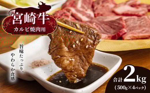 {苍 Jrē v2kg@{茧Y јa A4 ` A5  |  ɂ  ɂ   a Jr ē o[xL[ {茧 ܃{茧܃43000