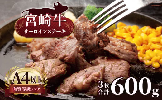 【ふるさと納税】 宮崎牛 サーロインステーキ 3枚 ( 600g ) | 宮崎牛 A4 ~ A5 等級 以上 黒毛和牛 牛肉 肉 にく 国産 ブランド ブランド牛 ステーキ  宮崎県 五ヶ瀬町宮崎県五ヶ瀬町29000肉牛肉