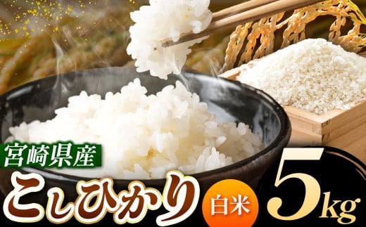 令和7年産 こしひかり 5kg (白米) 宮崎県産 | 米 こめ お米 おこめ 精米 白米 宮崎県 五ヶ瀬町宮崎県五ヶ瀬町13500米・パン白米