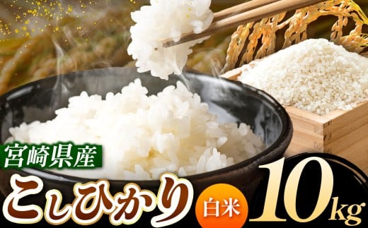 令和7年産 こしひかり 10kg (白米) 宮崎県産 | 米 こめ お米 おこめ 精米 白米 宮崎県 五ヶ瀬町宮崎県五ヶ瀬町27000米・パン白米