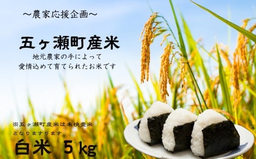 令和7年産 新米 五ヶ瀬町産米 こしひかり 5kg | お米 米 ブランド こめ 白米 九州 宮崎県 五ヶ瀬町 白米 人気宮崎県五ヶ瀬町12000米・パン白米