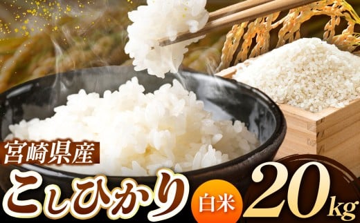 令和7年産 こしひかり 20kg (白米) 宮崎県産 | 米 こめ お米 おこめ 精米 白米 宮崎県 五ヶ瀬町宮崎県五ヶ瀬町54000米・パン白米