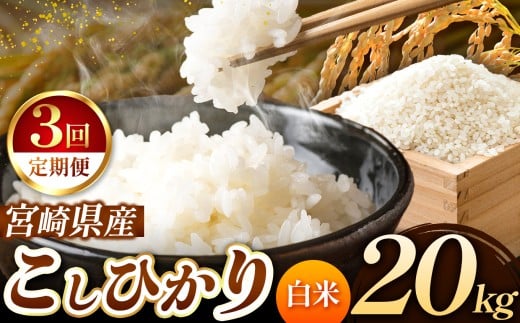 y 3 zߘa7NY Ђ 20kg i  j {茧Y |       {茧 ܃{茧܃165000āEp