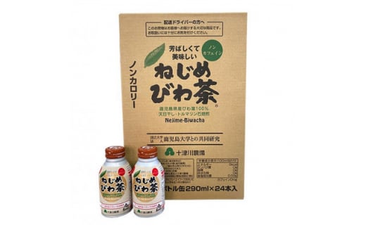 ˂߂т풃{g2P[Xy1508412z48000E