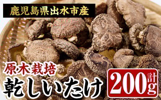 i343 鹿児島県出水市産!原木乾しいたけ200g(100g×2パック)原木栽培の国産椎茸を干しシイタケに!  干し椎茸 干しシイタケ しいたけ 椎茸 シイタケ 乾燥椎茸 栽培 原木栽培 国産 きのこ 茸 野