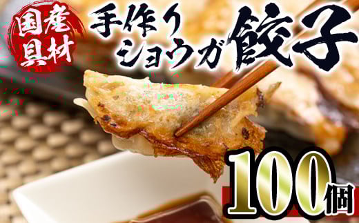 i393 国産豚肉使用!手作りショウガ餃子100個セット(10個×10パック たれ付き) 餃子 ぎょうざ ニンニク不使用 しょうが 生姜 冷凍 おかず おつまみ 惣菜 小分け 国産原料【スーパーよしだ】鹿
