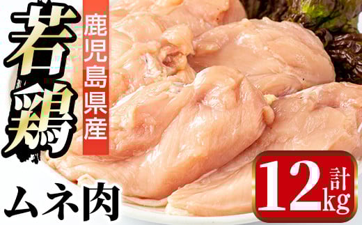i448 {l(v12kgE2kg×6)Y̌{͂ {  Ƃ l ނ˓ Y Y 2kg v12kg SS y܂ڂzos35000{