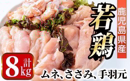 i449 若鶏ムネ肉・手羽元・ささみ(計8kg)鹿児島県産の鶏肉を3種お届け  鶏肉 鳥肉 とり肉 ムネ むね肉 手羽元 ささみ 詰め合わせ セット 国産 鹿児島県産 計8kg 安心安全 【まつぼっくり】鹿児