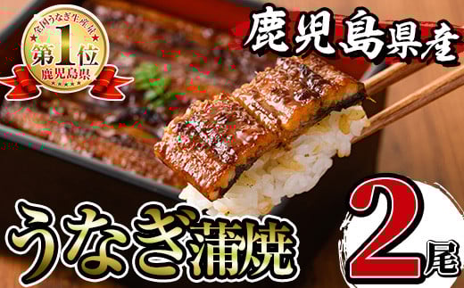 i505 鹿児島県産うなぎ蒲焼2尾セット(約140g×2・計約280g) うなぎ 鰻 ウナギ 2尾 蒲焼き 国産 鹿児島県産 焼きたて 生産量日本一 真空パック おかず 晩御飯 特別な日 土用の丑の日【薩摩川内鰻