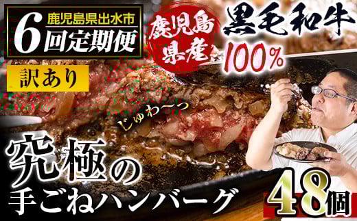 i689 <定期便・計6回(隔月)>【訳あり】鹿児島県産!黒毛和牛の究極の手ごねハンバーグ(総計48個・100g×8個×6回)  ハンバーグ 牛肉 黒毛和牛 100% 国産 冷凍 おかず 定期便 エコパッケージ 小