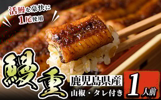i799 鹿児島県産 鰻重(1人前) うなぎ 鰻 ウナギ うな重 国産 鹿児島県産 おかず 晩御飯 特別な日 土用の丑の日【とらふぐ家】鹿児島県出水市20000魚介・海産物うなぎ