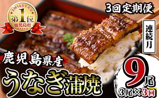 i854-A <定期便・計3回(連続月)>鹿児島県産うなぎ蒲焼3尾セット<(約140g×3・計約420g)×全3回> うなぎ 鰻 ウナギ 2尾 蒲焼き 国産 鹿児島県産 焼きたて 生産量日本一 真空パック おかず 晩御