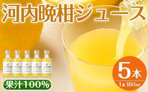 i990-A ͓ӊW[X(180ml×5{)  W[X ݂  ʏ` 100% ͓ӊ F  Xg[gW[X SS Mtg 蕨 y]ʎzos11000E