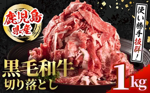 i1000 Y јa ؂藎Ƃ (v1kgE500g×2pbN) Y BY Y јa  Y ؂藎Ƃ ؗ  Ⓚz yX^[[zos18000