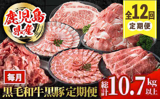 i1008 <定期便・計12回(連続)>黒毛和牛黒豚定期便(総計約10.7kg以上) 国産 九州産 鹿児島産 黒毛和牛 牛肉 国産牛 黒豚 豚肉 サーロイン ステーキ 切り落とし 切落し しゃぶしゃぶ すき焼き 定