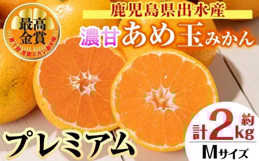i1059-B <先行予約受付中!2025年11月中旬〜2026年1月下旬の間に発送予定>【特別栽培・最高金賞】温州みかん日本一!濃甘あめ玉みかん〜プレミアム 極み〜(約2kg・Mサイズ) みかん 蜜柑 ミカ