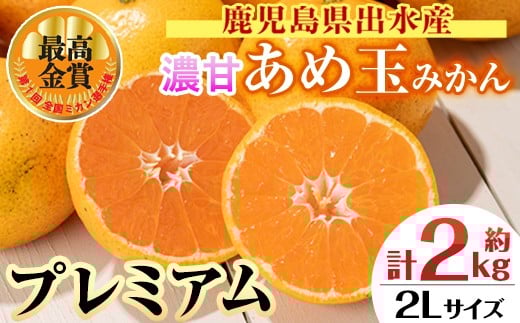 i1059-D <先行予約受付中!2025年11月中旬〜2026年1月下旬の間に発送予定>【特別栽培・最高金賞】温州みかん日本一!濃甘あめ玉みかん〜プレミアム 紡ぎ〜(約2kg・2Lサイズ) みかん 蜜柑 ミカ