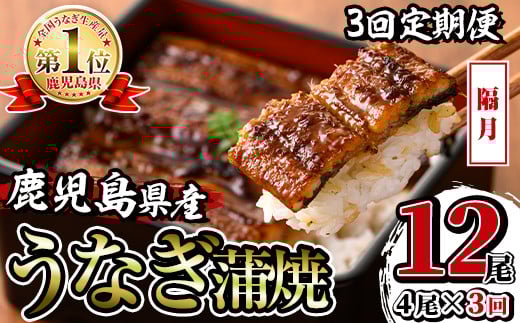 i1083-B ցEv3(u)YȂ4Zbg(140g×4Ev560g)×S3 Ȃ V EiM 4 Ă Y Y Ă Yʓ{ ^pbN  ӌ