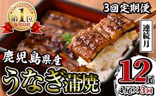 i1083-A <定期便・計3回(連続月)>鹿児島県産うなぎ蒲焼4尾セット<(約140g×4・計約560g)×全3回> うなぎ 鰻 ウナギ 4尾 蒲焼き 国産 鹿児島県産 焼きたて 生産量日本一 真空パック おかず 晩御