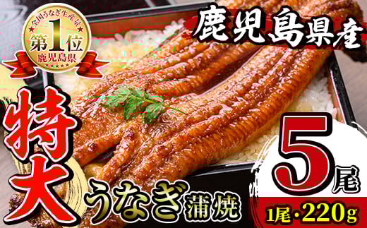 i1078-C \特大サイズ/鹿児島県産 うなぎ蒲焼 5尾(約220g×5・計約1100g) たれ 山椒付きうなぎ 鰻 ウナギ 特大 特大サイズ 約220g 蒲焼き 国産 鹿児島県産 焼きたて 生産量日本一 真空パック お