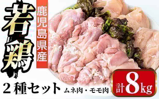 i1095 鹿児島県産 若鶏ムネ肉・モモ肉 2種セット (計8kg・各2kg×2P ) 鶏肉 むね肉 もも肉 セット 国産 チキン もも むね 美味しい ダイエット 料理 【まつぼっくり】鹿児島県出水市34000肉鶏肉