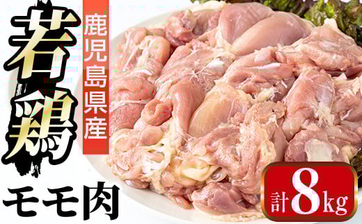 i1090-B 鹿児島県産 若鶏モモ肉(計8kg・2kg×4袋) 鶏肉 鳥肉 もも肉 とり肉 国産 鹿児島県産 2kg 8kg 安心安全 冷凍 【まつぼっくり】鹿児島県出水市40000肉鶏肉