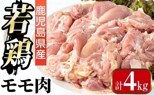 i1090-A Y {(v4kgE2kg×2) {   Ƃ Y Y 2kg 4kg SS Ⓚ y܂ڂzos20000{