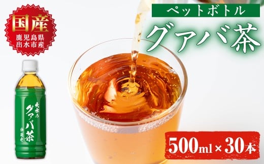 i1137-B グァバ茶PET(神秘也)500ml×30本 お茶 茶 国産 グァバ葉 ノンカフェイン ポリフェノール 血糖値 コレステロール ペットボトル 【出水酒造 izumi-syuzou】鹿児島県出水市41000お茶・飲料お茶