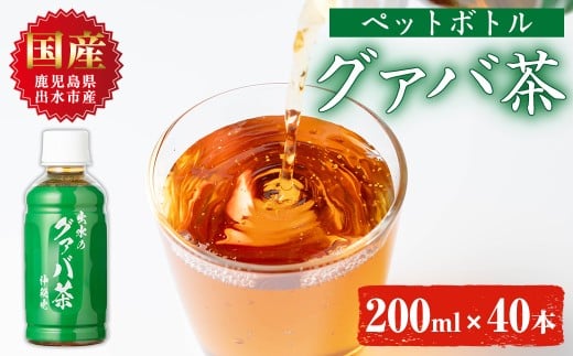 i1137-A グァバ茶PET(神秘也)200ml×40本 お茶 茶 国産 グァバ葉 ノンカフェイン ポリフェノール 血糖値 コレステロール ペットボトル 【出水酒造 izumi-syuzou】鹿児島県出水市40000お茶・飲料お茶