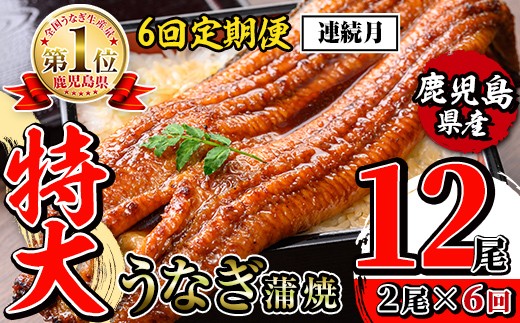 i1173-A <定期便・計6回(連続月)>\特大サイズ/鹿児島県産 うなぎ蒲焼 2尾セット <(約220g×2・計約440g)×全6回> 定期便 たれ 山椒付きうなぎ 鰻 ウナギ 特大 特大サイズ 約220g 蒲焼き 国
