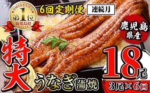 i1175-A <定期便・計6回(連続月)>\特大サイズ/鹿児島県産 うなぎ蒲焼 3尾セット <(約220g×3・計約660g)×全6回> 定期便 たれ 山椒付きうなぎ 鰻 ウナギ 特大 特大サイズ 約220g 蒲焼き 国