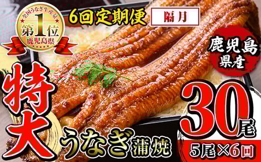 i1177-B <定期便・計6回(隔月)>\特大サイズ/鹿児島県産 うなぎ蒲焼 5尾セット <(約220g×5・計約1100g)×全6回> 定期便 たれ 山椒付きうなぎ 鰻 ウナギ 特大 特大サイズ 約220g 蒲焼き 国産