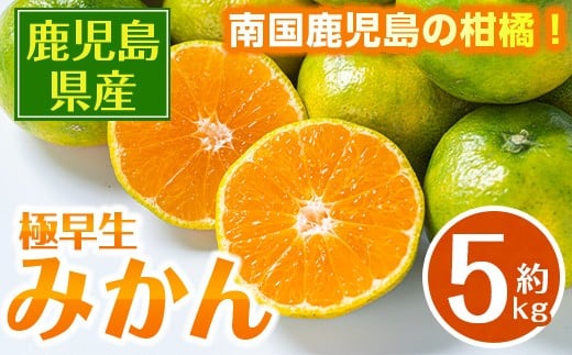i1171 《数量・期間限定》鹿児島みかん(極早生系・約5kg) みかん 蜜柑 ミカン 柑橘 極早生 10kg 果物 フルーツ 果実 国産 鹿児島 訳あり 【江崎果樹園】鹿児島県出水市10000果物・フルーツみ