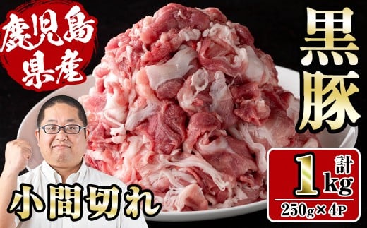 i1151 t@[؏Ԑ؂ 1kg(250g×4P) ؓ Y  Ԑ؂ Y uߕ  ӌ   yX[p[悵zos10000ؓ